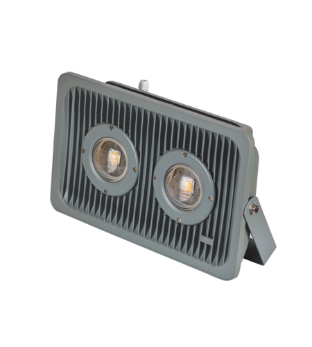 COB Flood Lights